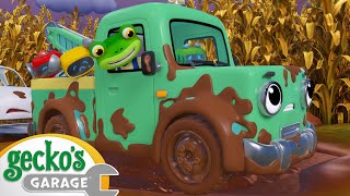 Muddy Trucks  Geckos Garage  Trucks For Children  Cartoons For Kids [upl. by Llerahc]