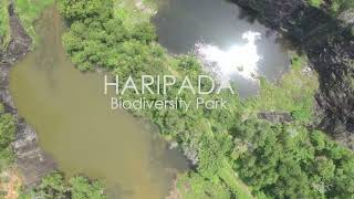 Biodiversity Park at Haripada Pakshikere COMING SOONA Paper Seed Initiative [upl. by Crosse]