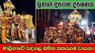 කලාතුරකින් දකින්නට ලැබෙන අවස්ථාවක්  Kataragama Wasana In Dalada Maligawa [upl. by Llenart]