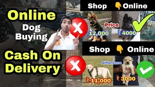 Online dog कैसे buy किया जाता है  How to buy dog online [upl. by Yeldua]