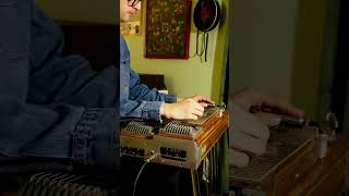 Pedal steel intro to “True Lovers Go Places” by the Country Side of Harmonica Sam [upl. by Aiym]