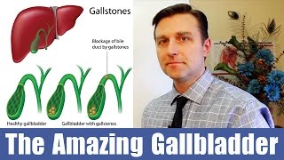 The Amazing Gallbladder [upl. by Attelahs843]