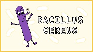 Bacillus cereus Simplified Morphology Types Symptoms Treatment [upl. by Aneem]