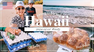 ハワイ朝活vlog🇺🇸「しあわせ〜！🏖💛 日の出と海散歩と新鮮卵。」 ワイマナロビーチ  OKポートリー  ホヌベーカリー  OsmoPocket3〔アメリカ暮らし物語🗽🌺 第1083話〕 [upl. by Alcus]