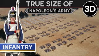 True Size of Napoleons Army  The Infantry c 1808 3D DOCUMENTARY [upl. by Fairleigh153]