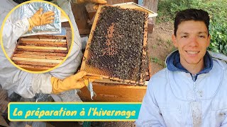 Comment bien préparer ses abeilles à lhiver et augmenter leur chance de survie  Ma méthode [upl. by Milly]