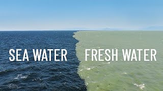 Fresh Water Meets Sea Water – Boundary Explained [upl. by Oeram198]