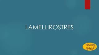 Lamellirostres Meaning [upl. by Aseuqram896]