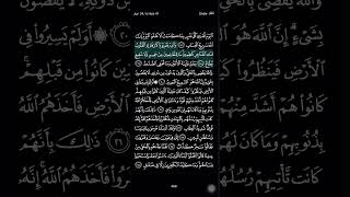 Surah Ghafir part5 [upl. by Dympha]