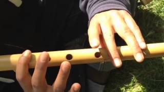 Learning bansuri  yo nepali shira uchali [upl. by Tsai914]