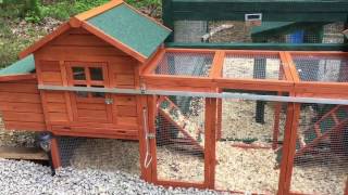 PawHut Chicken Coop Suppliment [upl. by Esta746]