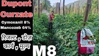 Dupont Curzate M8 Fungicide  Cymoxanil 8  Mancozeb 64  Praveen Thakur [upl. by Normand]