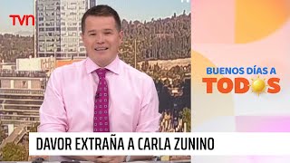 quotMe acordé que noquot Davor Gjuranovic ya echa de menos a Carla Zunino  Buenos días a todos [upl. by Lehcin]