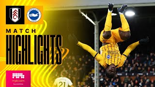 HIGHLIGHTS  Fulham v Brighton  Premier League [upl. by Field]