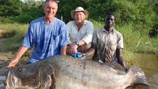 African Biggest Freshwater Fishes [upl. by Mauchi543]