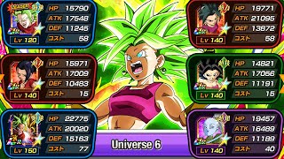 UPGRADED UNIVERSE 6 CATEGORY TEAM SHOWCASE Dragon Ball Z Dokkan Battle [upl. by Sletten]