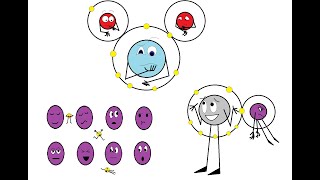 Ionic Covalent and Metallic Bonds [upl. by Roht]