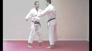 Bassai Dai kata bunkai  practical application [upl. by Pittman]