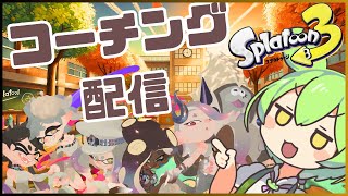 サクサク進めるコーチング配信【スプラトゥーン３】【Paravo】【わんこめ】 [upl. by Ardnuahc]