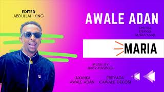 AWALE ADAN  MARIA  NEW SONG 2023 [upl. by Halle]