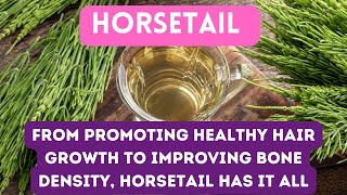 HORSETAIL  11 AMAZING BENEFITS THAT WILL TRANSFORM YOUR HEALTH [upl. by Pradeep]