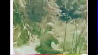 Vietnam War Footage Intense Close Quarters Combat NO SOUND [upl. by Let]