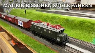 0018 S badisch Bähnle die erste Begrasung am BW entsteht und Bau einer kleinen Holzbrücke [upl. by Aztilem511]