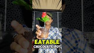 Eatable flower pot dessert😲  home made  food minivlog shorts flowerpot [upl. by Colpin]