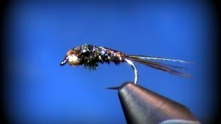 Fly Tying Flashback Pheasant Tail [upl. by Pero]