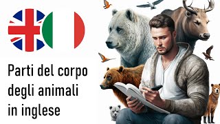 Parti del corpo degli animali in inglese Voce maschile sfondo nero [upl. by Jaycee11]