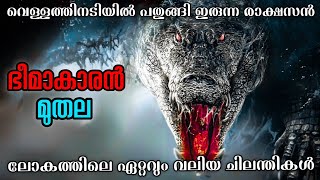 Crocodile Island 2020 Movie Explained In Malayalam CrocodileSpider Movie Explained In Malayalam [upl. by Staford]