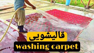 قالی شویی  Washing the carpet [upl. by Merry]