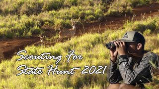 Hawaii Axis Deer  2021 Lāna‘i State Hunt Prep [upl. by Krystyna]