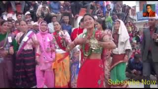 Bimala budha ra netra raj shahi Live Deuda बिमला बुढा VS नेत्र राज शाही लाईभ देउडा [upl. by Aralc]