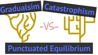 Process of Evolution  Gradualism vs Punctuated Equilibrium vs Catastrophism [upl. by Norac]