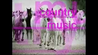 musica country 2013 [upl. by Akciret]