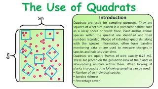 GCSE Biology exam questions Use of quadrats question video [upl. by Dinnage]