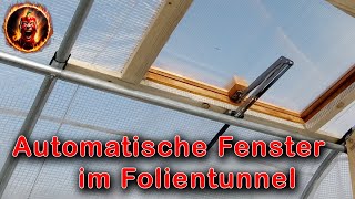 Automatikfenster im Folientunnel  automatische Fensteröffner  DIY  selber bauen [upl. by Yssirc]