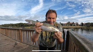 Florida intracoastal fishing Matanzas river 2122022 [upl. by Lombardy]