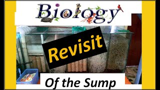 REVISIT Biology of the Aquarium Sump [upl. by Avik64]