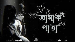 Tamak pata  Ashes  Official Audio [upl. by Eissalc]