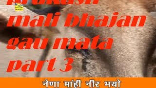 prakash mali bhajan gau mata part 3 [upl. by Hachmin]