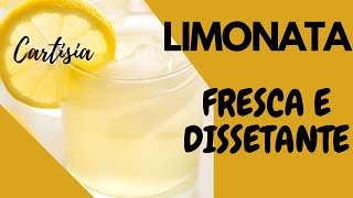 LIMONATA FATTA IN CASA RICETTA DELLA NONNA [upl. by Edana]