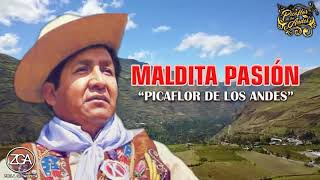 Picaflor de los Andes  Maldita Pasion [upl. by Pammi605]