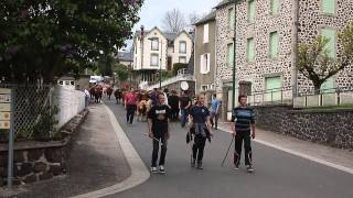 Troupeau de Salers  Fête des Cloches et des Sonnailles Cheylade [upl. by Ettennyl]