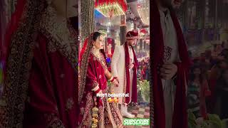 Tera Hain Barati wedding songshekhawati wedding shorts viral youtubeshorts [upl. by Inigo180]