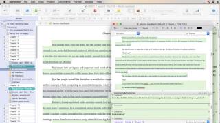 Scrivener open as Quick Reference [upl. by Essy]