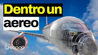 Come è fatto e come funziona un aereo di linea Ecco la ricostruzione 3D [upl. by Anerehs347]