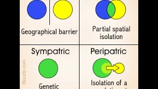 4 Basic Modes of Speciation [upl. by Amye814]