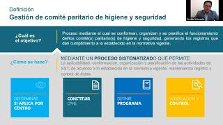 Gestión de Comités Paritarios de Higiene y Seguridad [upl. by Okechuku877]